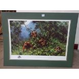 A David Shepherd signed limited edition print, Men of the Woods, Orang-utans, unframed
