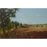 Two landscape oil paintings