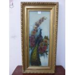 A Victorian oil painting on glass, peacock amongst flowers, framed