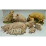 A collection of seven Aynsley pig figures