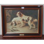 A print of dogs, Brittany Spaniels,