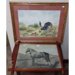 A pencil study of a horse and a watercolour of grouse