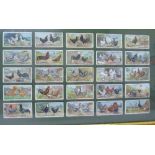 A framed set of Ogden's Poultry series cigarette cards