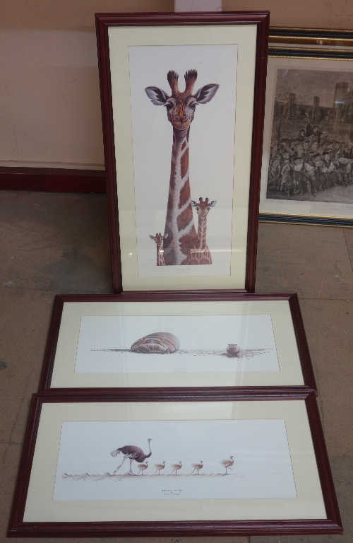 A set of four animal prints, - Image 2 of 2