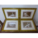 A set of four sepia prints of female nudes,