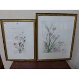 Judy Ball, pair of botanical etchings, signed in pencil,