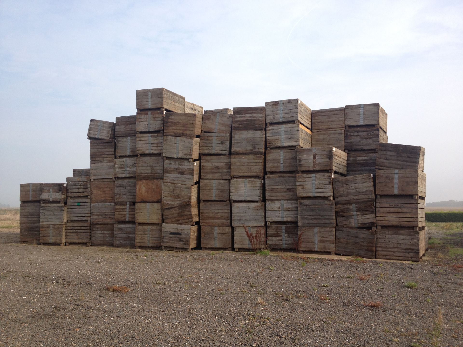 20 Used 1.1 Tonne Potato Boxes. NO VAT. Location March, Cambridgeshire.