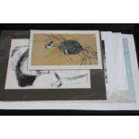 Portfolio of mixed prints and artist pro