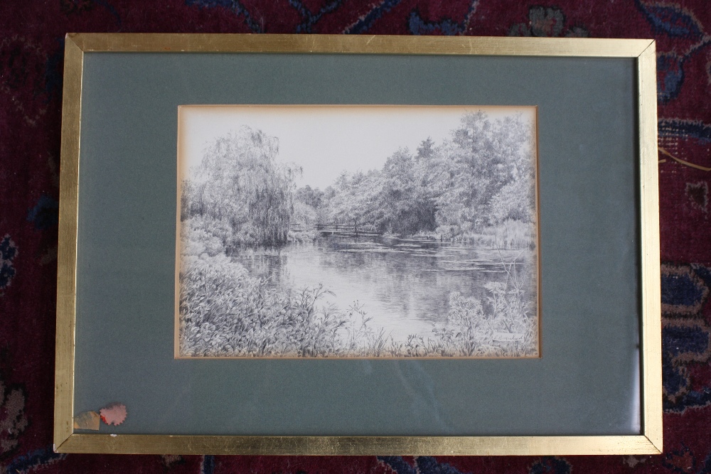 Ronald Birkenhead, Nr Abbotsworthy, ballpoint pen on paper, signed lower right, framed,