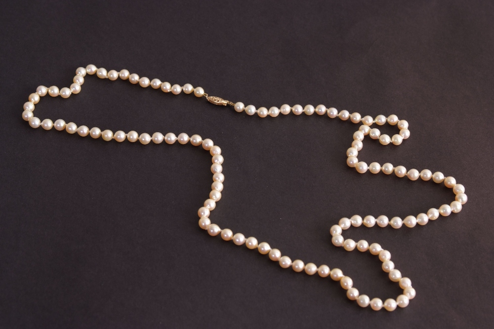 A 20th century single strand cultured pearl bead necklace, with a 14ct gold clasp, - Image 2 of 2