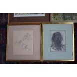 A quantity of pictures and prints to include a hand coloured etching of parrots,