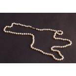 A 20th century single strand cultured pearl bead necklace, with a 14ct gold clasp,