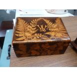 A 19th century Mauchline ware stationary box, decorated all over with fern and other foliage,