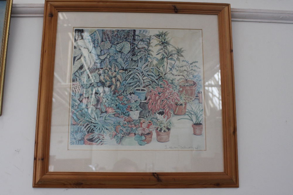 Pauline Marshall, Anemones' watercolour on paper, signed lower right, framed mounted and glazed, - Image 8 of 8