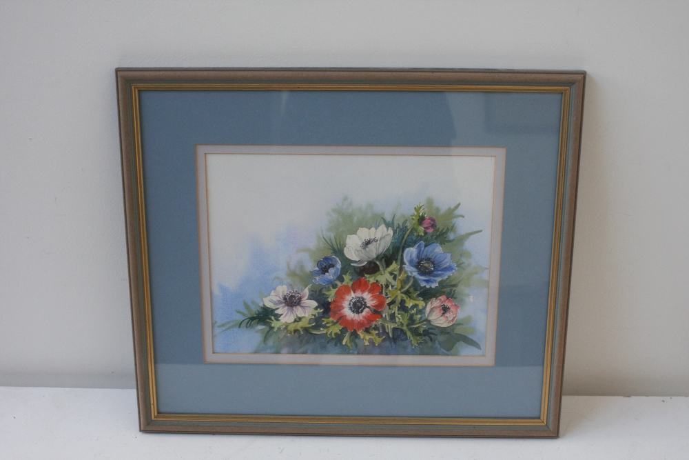 Pauline Marshall, Anemones' watercolour on paper, signed lower right, framed mounted and glazed,