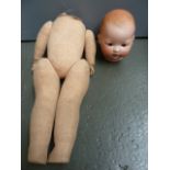 An Armand Marseilles bisque doll's head,