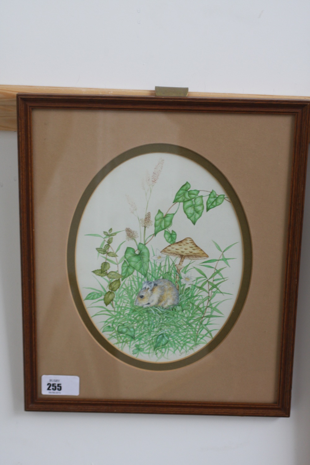 Jenny Heath, original watercolour of field mouse and botanical subjects circa 1970. 21cm x 17cm.