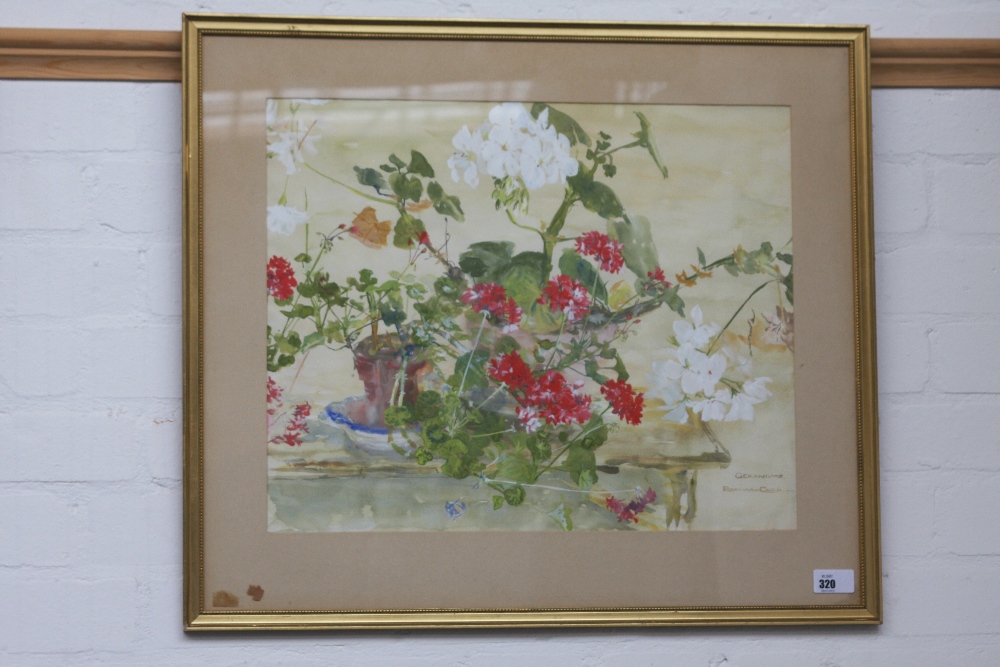 Rosemary Carr, Irish, Geraniums, gouache on paper, framed, mounted and glazed, signed lower right, - Image 2 of 2