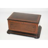 A large 19th Century rosewood, cross-banded, boxwood strung and ebonised box, with hinged lid,