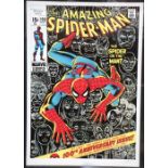 Framed limited edition print -giclée on paper "The Amazing Spider Man - The Spider or the Man?" 40 x