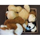 A box of various soft toys