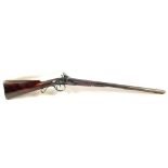 A double barrel muzzle loading shotgun, a percussion conversion from a flintlock,