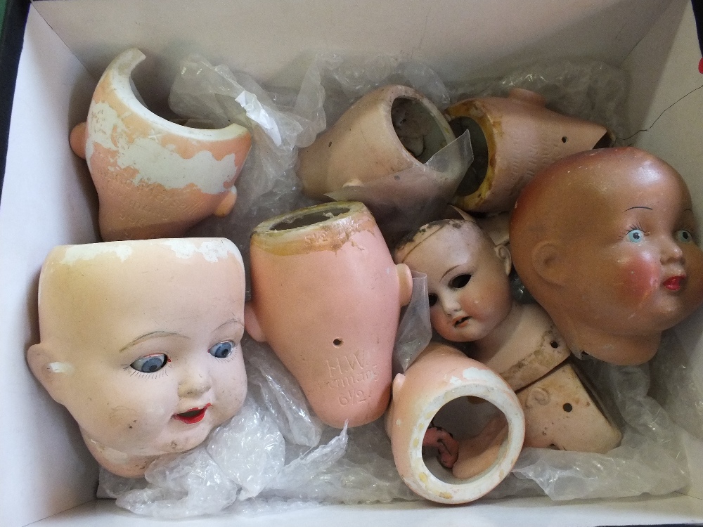 A box of porcelain and composition dolls heads