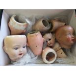 A box of porcelain and composition dolls heads