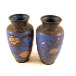 A pair of Chinese blue ground bird and floral cloisonné vases,