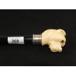 A gents walking cane with Ivory dogs head grip,