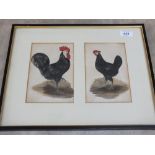 Two 19th Century coloured prints in frame,