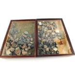 Two glazed cases of mineral specimens,