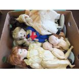 A box of various porcelain head dolls