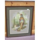 Frederick Robert Coppillie (1919-1987), signed watercolour of a pheasant in a wood,