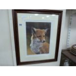 Framed Limited Edition Print Depicting A Fox