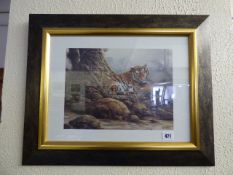 Framed Print - Tiger at Rest