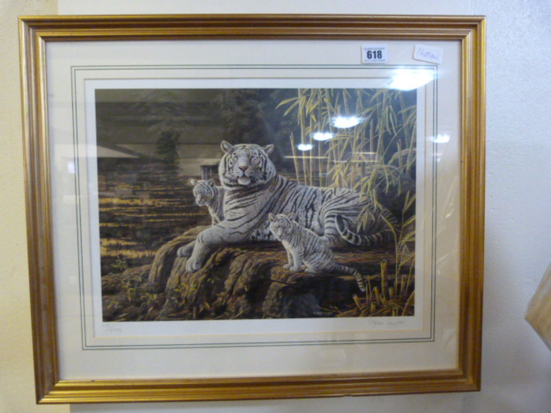 Gilt Framed Steven Gayford Print Depicting Tigers