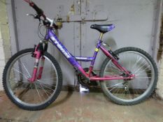 Lady's Storm Mountain Bike in Purple & Pink