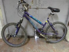 Tempest Lady's Mountain Bike - Purple & Blue