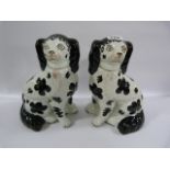 Pair of Reproduction Stafforshire Dogs