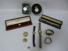 Tray of Collectable Watches