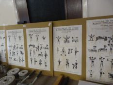 Set of Mr Universe Posters