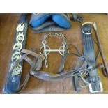 Draught Harness - Martingale & Bits