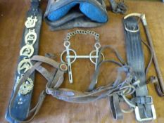 Draught Harness - Martingale & Bits