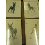 4 Framed Animal Prints