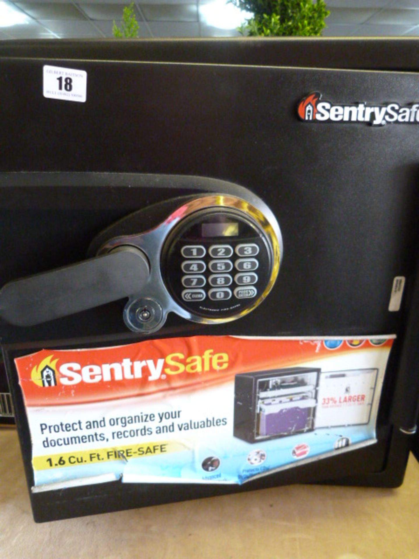 *SENTRY ELECTRONIC