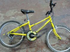 Raleigh Spice Childs Cycle - Yellow