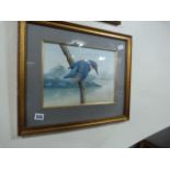 Gilt Framed Water Colour of a Kingfisher by C Tritton 1988