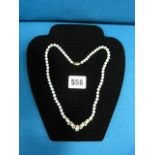 14ct Gold & Seed Pearl Necklace