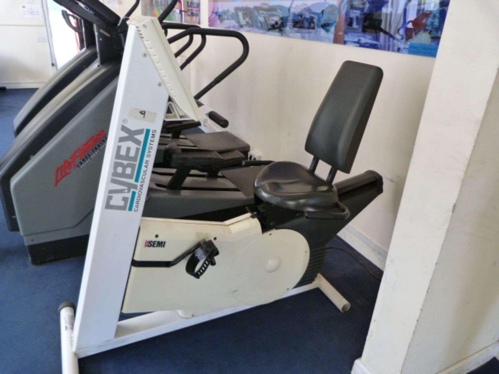 Cybex Cardiovascular Recumbent Cycle